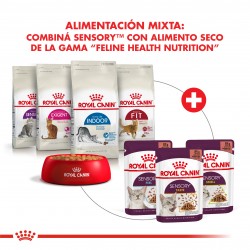 Royal Canin Alimento Húmedo para Gato Sensory  taste Feline  Caja (15 x 85 grs)