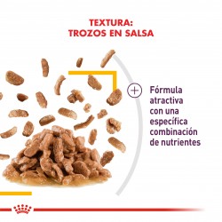 Royal Canin Alimento Húmedo para Gato Sensory  taste Feline  Caja (15 x 85 grs)