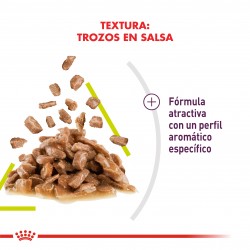 Royal Canin Alimento Húmedo para Gato Sensory smell Feline  Caja (15 x 85 grs