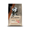 Balanced Natural Recipe Cordero  Perro