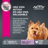 Eukanuba Adulto Small Breed