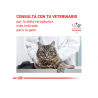 Royal Canin Alimento Seco Early Renal Feline