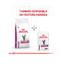 Royal Canin Alimento Seco Early Renal Feline