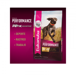 Eukanuba Premium Performance x 15 kg