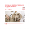 Royal Canin Gastrointestinal Moderate Calories