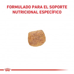 Royal Canin Alimento Seco para perro Urinary S/O Ageing 7+ x 1,5 kg