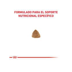 Royal Canin Alimento Seco para Gato Gastrointestinal Feline  2 kg