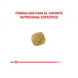 Royal Canin Alimento Seco para Perro  Hypoallergenic Canine