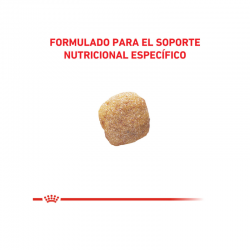 Royal Canin Alimento Seco para Perro  Hepatic Canine