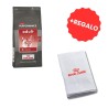 Royal Canin Alimento Seco para Gato Adulto Club Performance 7.5kg + REGALO