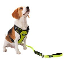 Accesorios para Mascota